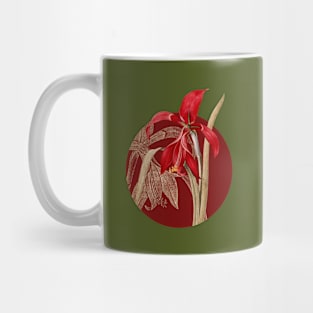 Vintage Amaryllis Botanical Illustration on Circle Mug